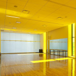Cornell Comm Cntr (58)
