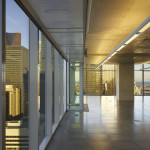 RBC (42)