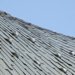 Bezier_Curve_House_(30)